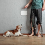 Ask an Owner to Put Their Dog in Another Room