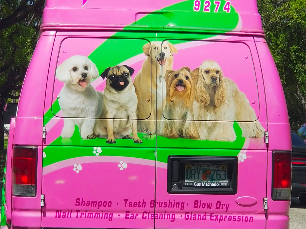 The Rising Popularity Of Mobile Dog Grooming Services Sendwork Blog   The Rising Popularity Of Mobile Dog Grooming Services 