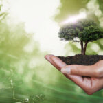 This Image Depicts A Woman Holding A Plant In Soil, With A Tree In The Background. The Image Emphasizes The Importance Of Caring For The Environment And Promoting Sustainability. The Image Is Relevant For Topics Such As Earth Day, Climate Change, And The Conservation Of Natural Resources.